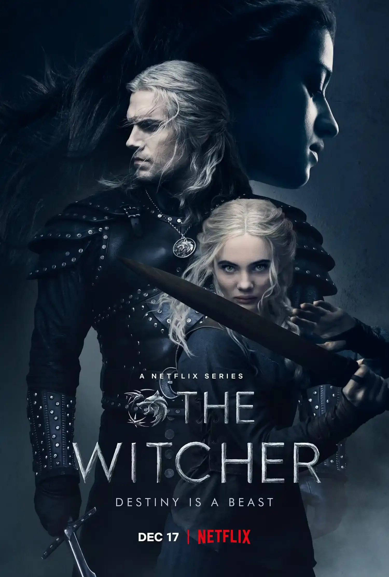 Affiche de The Witcher
