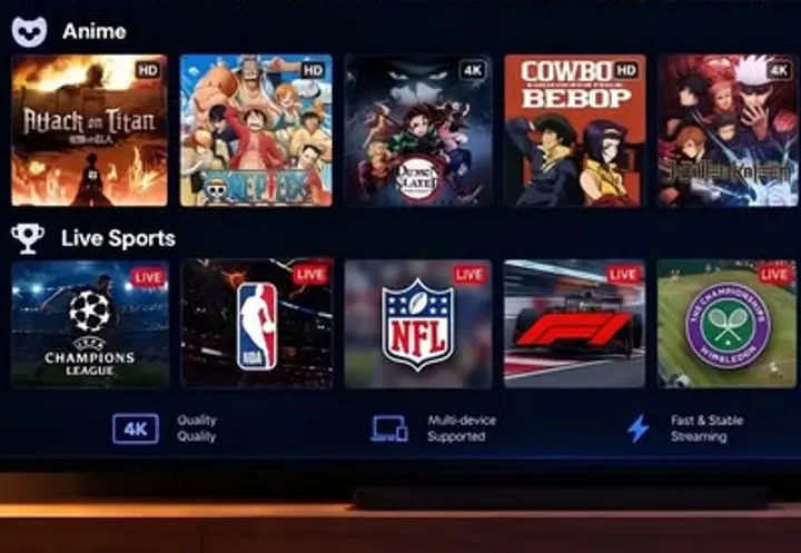 Rubriques anime et sport en direct dans l’application